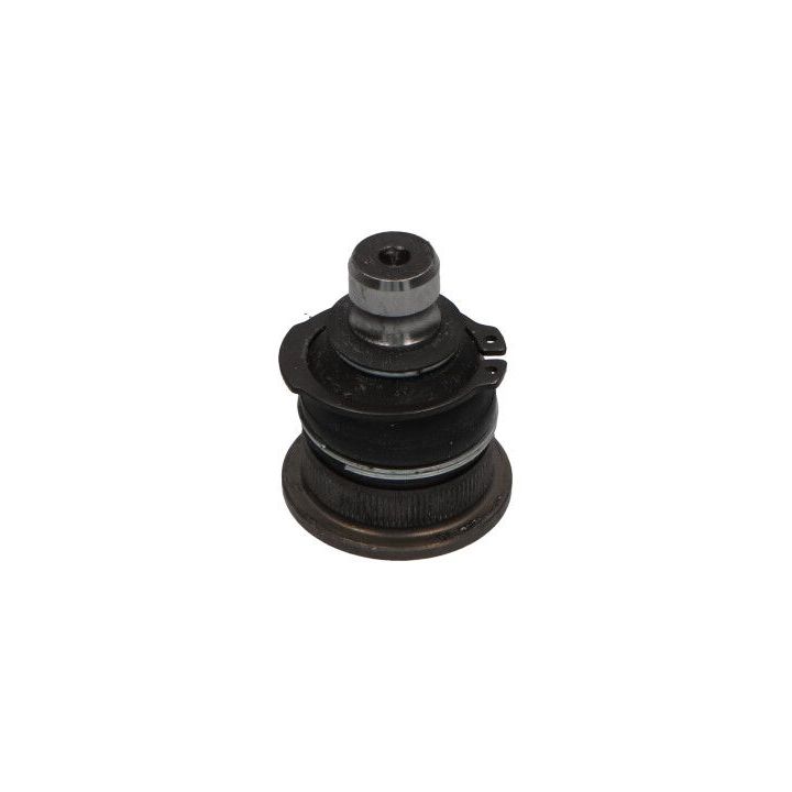 Šarnyras / girgždukas KAVO PARTS SBJ-10002