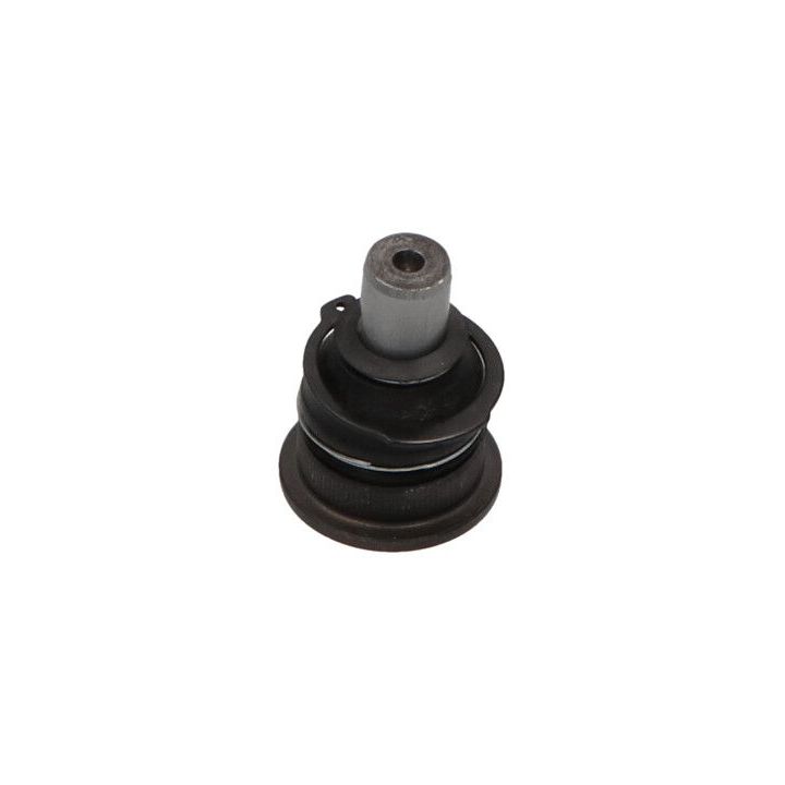 Šarnyras / girgždukas KAVO PARTS SBJ-10010