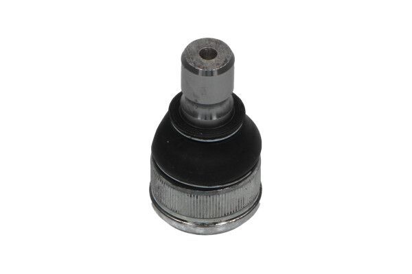 Šarnyras / girgždukas KAVO PARTS SBJ-10019