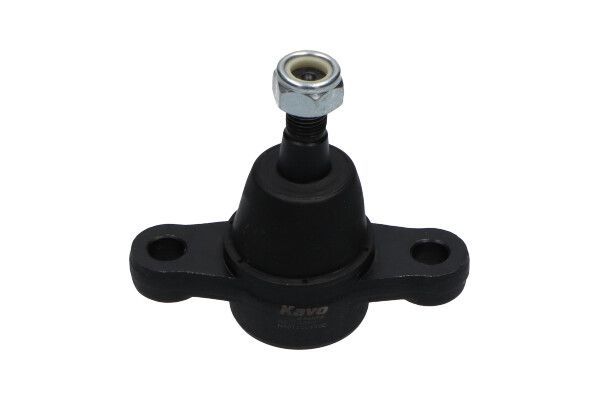 Šarnyras / girgždukas KAVO PARTS SBJ-3002