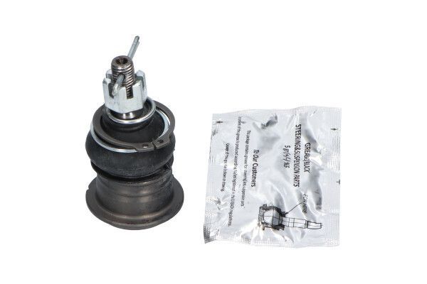 Šarnyras / girgždukas KAVO PARTS SBJ-3016