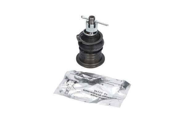 Šarnyras / girgždukas KAVO PARTS SBJ-3016