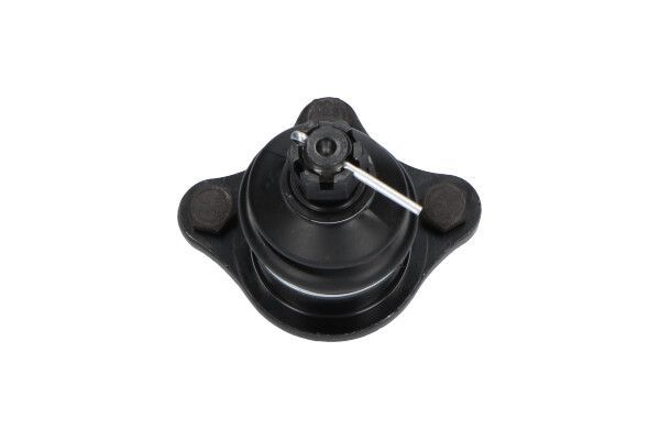 Šarnyras / girgždukas KAVO PARTS SBJ-3025