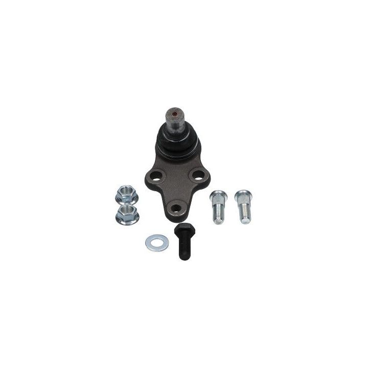 Šarnyras / girgždukas KAVO PARTS SBJ-3033