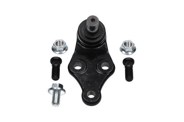 Šarnyras / girgždukas KAVO PARTS SBJ-3034