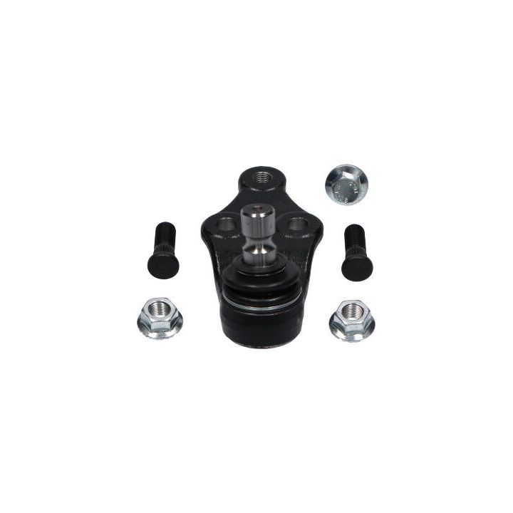 Šarnyras / girgždukas KAVO PARTS SBJ-3034