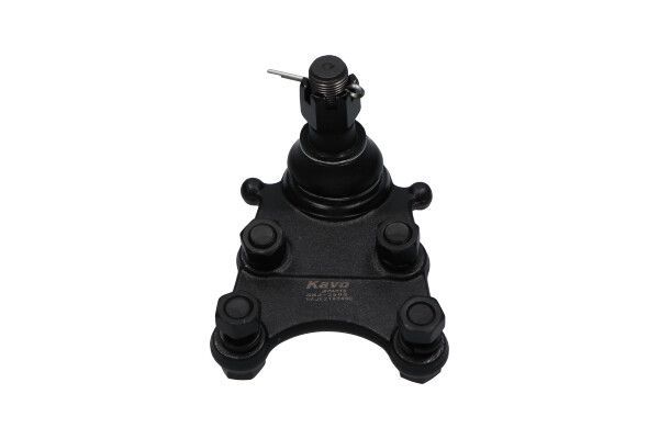 Šarnyras / girgždukas KAVO PARTS SBJ-3505