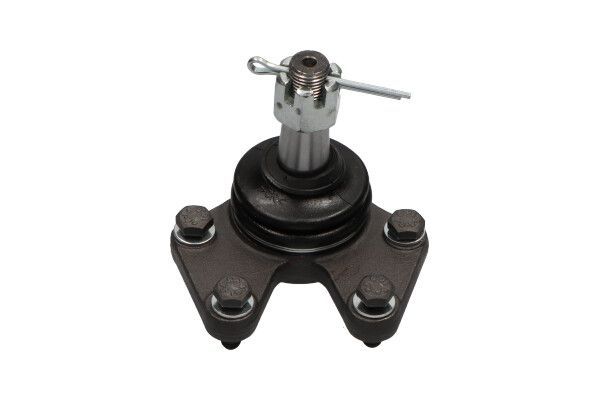Šarnyras / girgždukas KAVO PARTS SBJ-4003