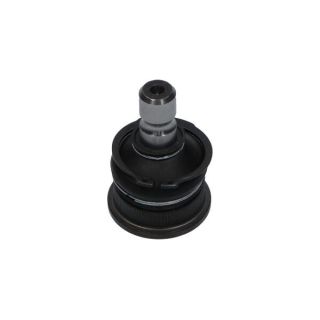 Šarnyras / girgždukas KAVO PARTS SBJ-4007