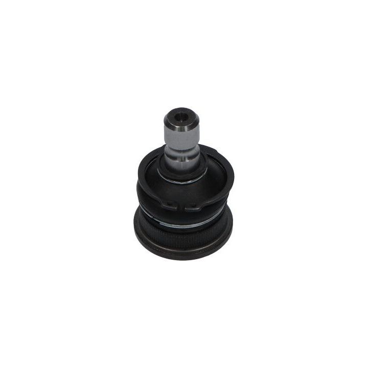 Šarnyras / girgždukas KAVO PARTS SBJ-4007