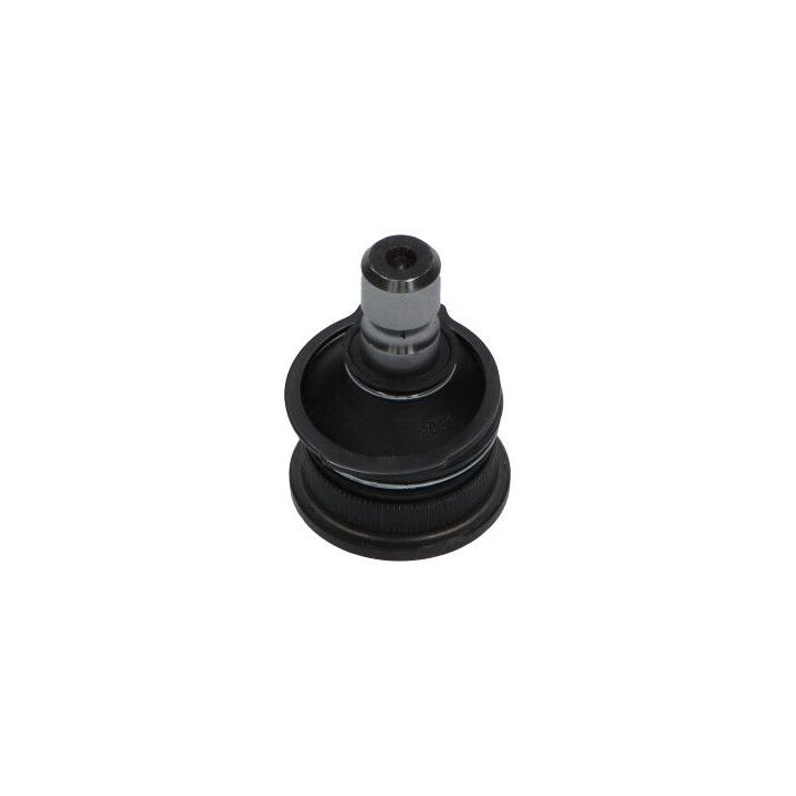 Šarnyras / girgždukas KAVO PARTS SBJ-4007