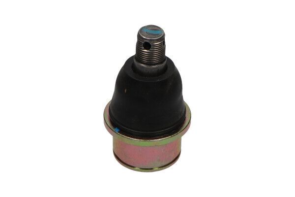 Šarnyras / girgždukas KAVO PARTS SBJ-4008