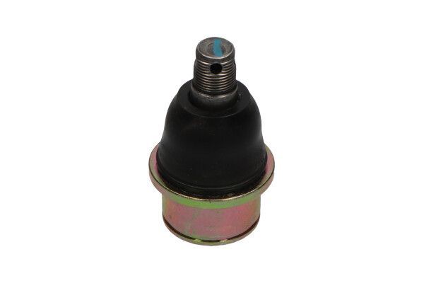 Šarnyras / girgždukas KAVO PARTS SBJ-4008