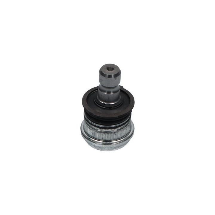 Šarnyras / girgždukas KAVO PARTS SBJ-4017