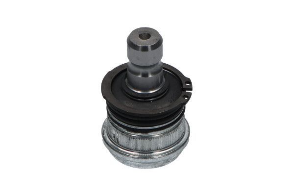 Šarnyras / girgždukas KAVO PARTS SBJ-4017