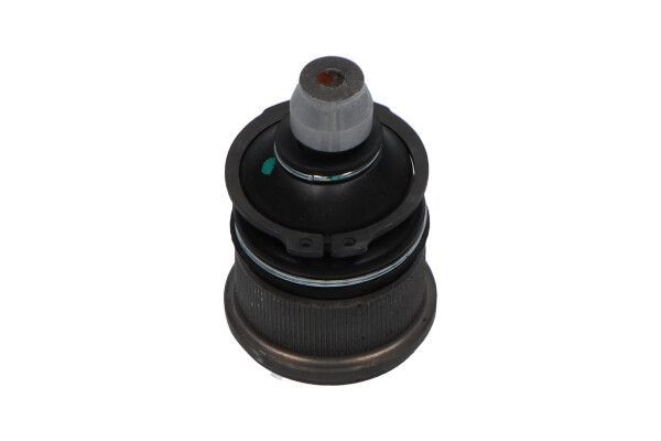 Šarnyras / girgždukas KAVO PARTS SBJ-4505