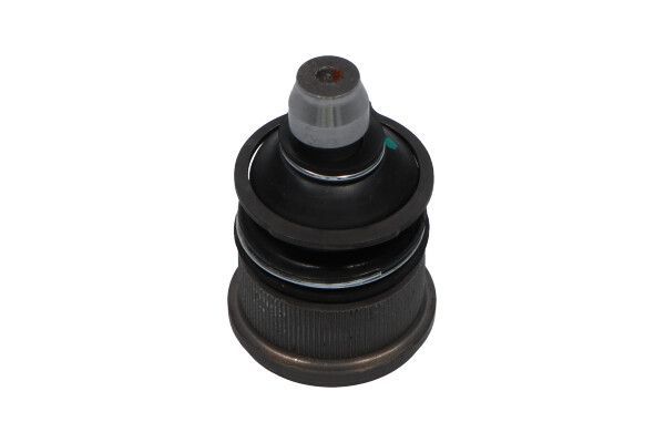 Šarnyras / girgždukas KAVO PARTS SBJ-4505