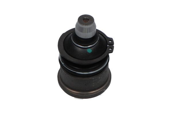 Šarnyras / girgždukas KAVO PARTS SBJ-4505