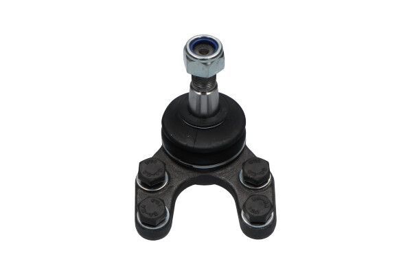 Šarnyras / girgždukas KAVO PARTS SBJ-4507