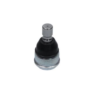 Šarnyras / girgždukas KAVO PARTS SBJ-4535