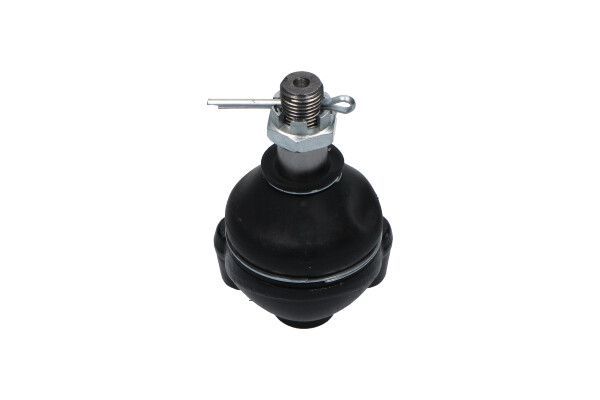 Šarnyras / girgždukas KAVO PARTS SBJ-5503