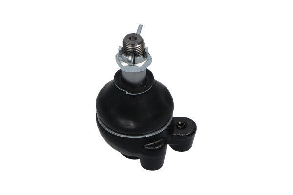 Šarnyras / girgždukas KAVO PARTS SBJ-5503