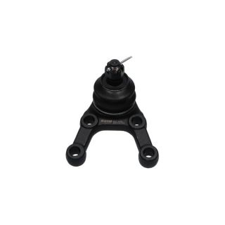 Šarnyras / girgždukas KAVO PARTS SBJ-5505