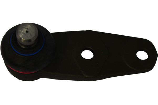 Šarnyras / girgždukas KAVO PARTS SBJ-6545
