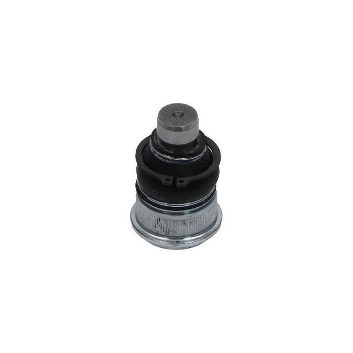 Šarnyras / girgždukas KAVO PARTS SBJ-6563