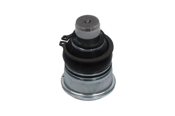 Šarnyras / girgždukas KAVO PARTS SBJ-6563