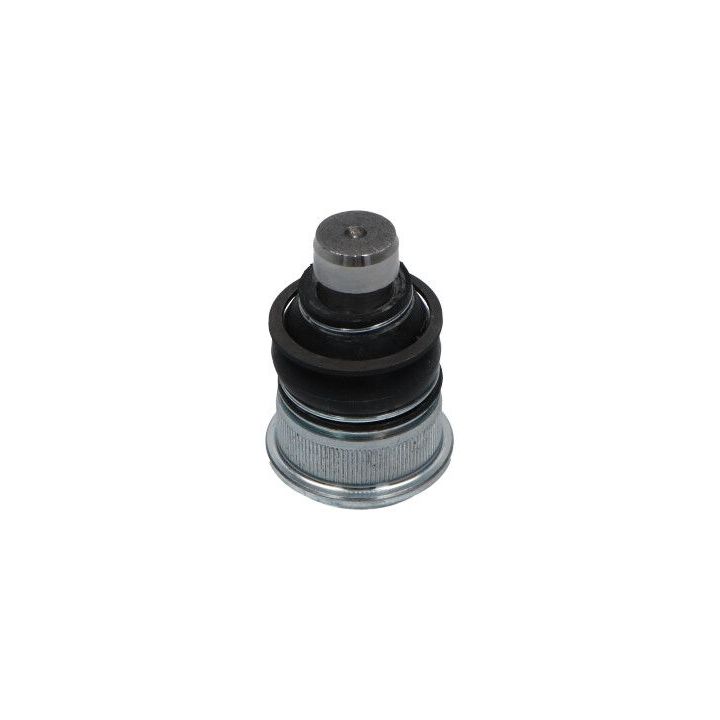 Šarnyras / girgždukas KAVO PARTS SBJ-6563