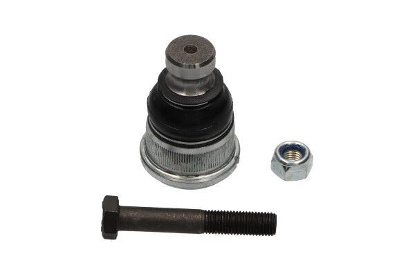 Šarnyras / girgždukas KAVO PARTS SBJ-6564
