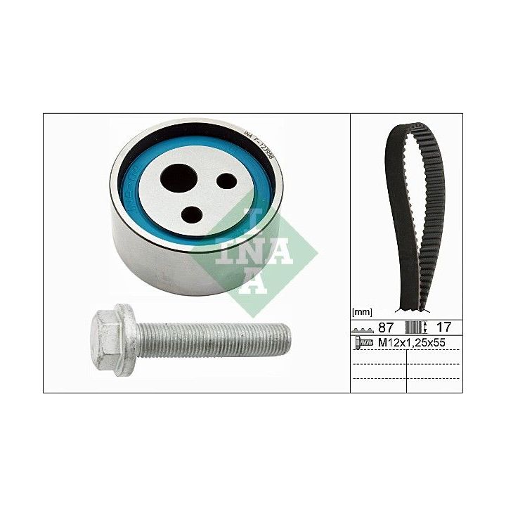 Paskirstymo diržo komplektas INA 530 0182 10