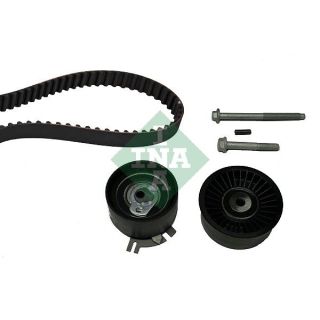 Paskirstymo diržo komplektas INA 530 0198 10