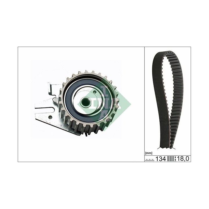 Paskirstymo diržo komplektas INA 530 0221 10