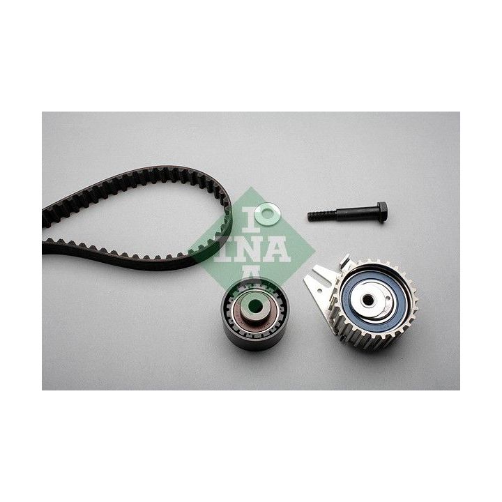 Paskirstymo diržo komplektas INA 530 0548 10