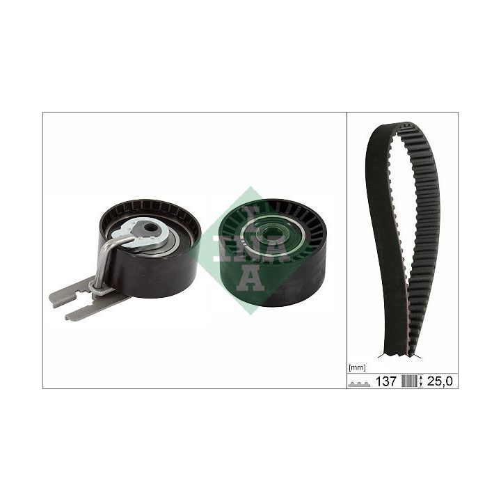 Paskirstymo diržo komplektas INA 530 0632 10