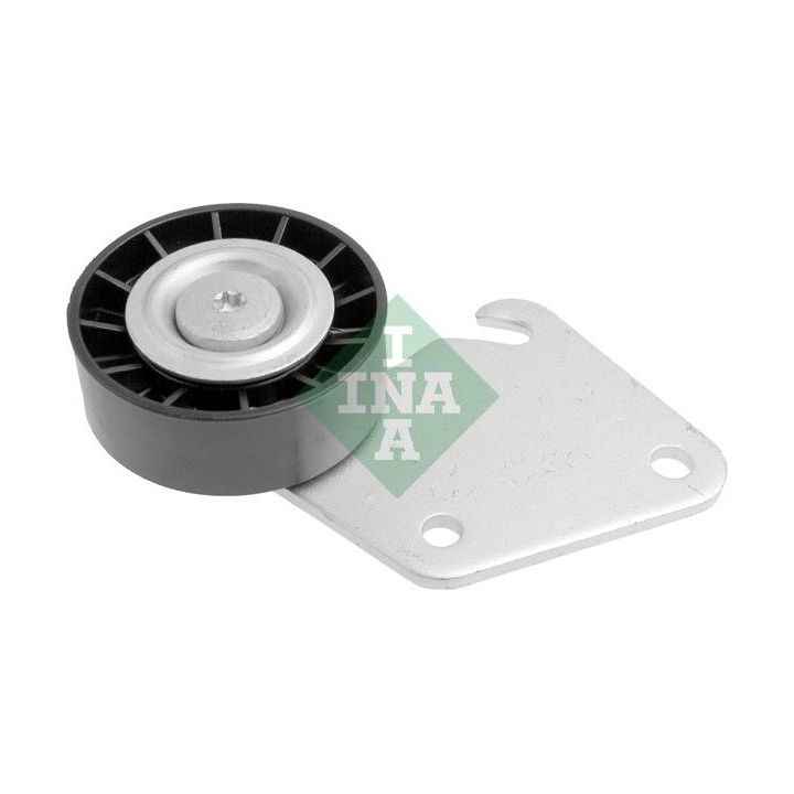 Kreipiantysis skriemulys, V formos rumbuotas diržas INA 532 0124 10