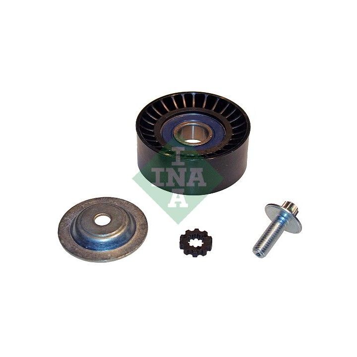 Kreipiantysis skriemulys, V formos rumbuotas diržas INA 532 0617 10