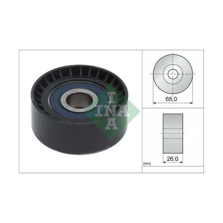 Kreipiantysis skriemulys, V formos rumbuotas diržas INA 532 0666 10