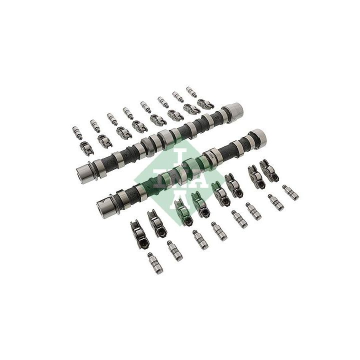 Skirstomojo veleno komplektas INA 428 0030 30