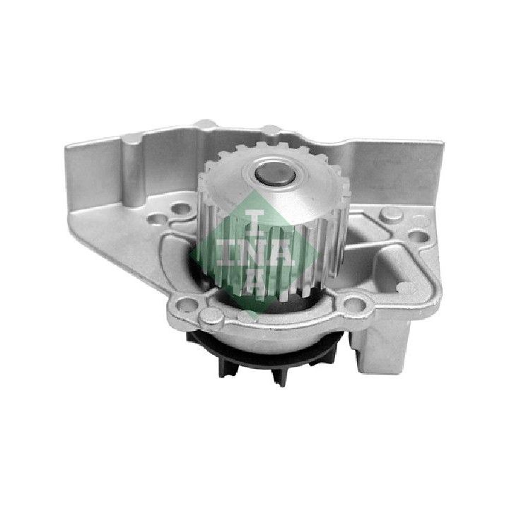 Vandens siurblys, variklio aušinimas INA 538 0464 10