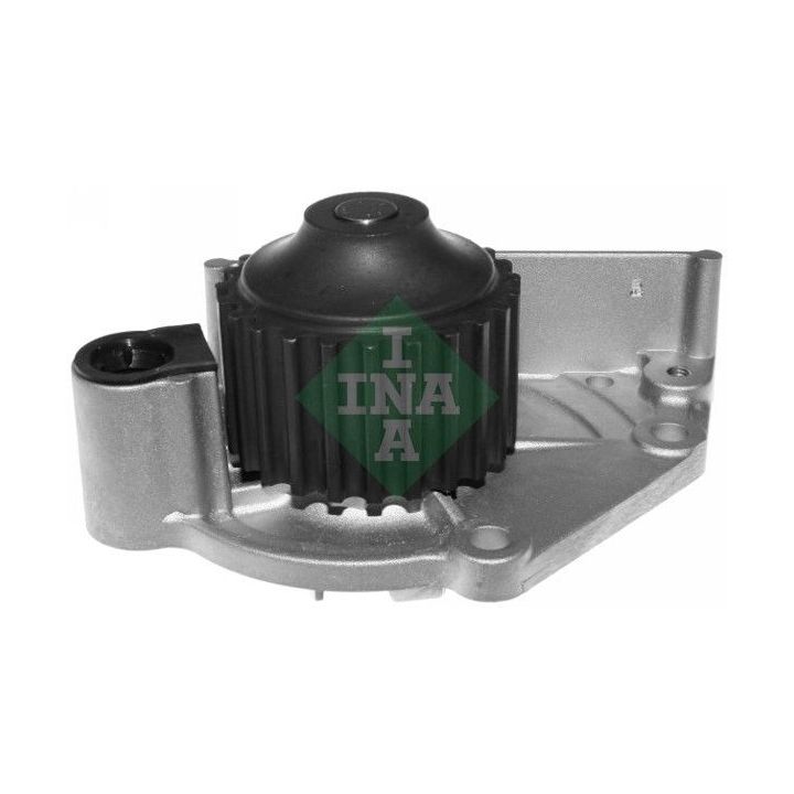 Vandens siurblys, variklio aušinimas INA 538 0485 10