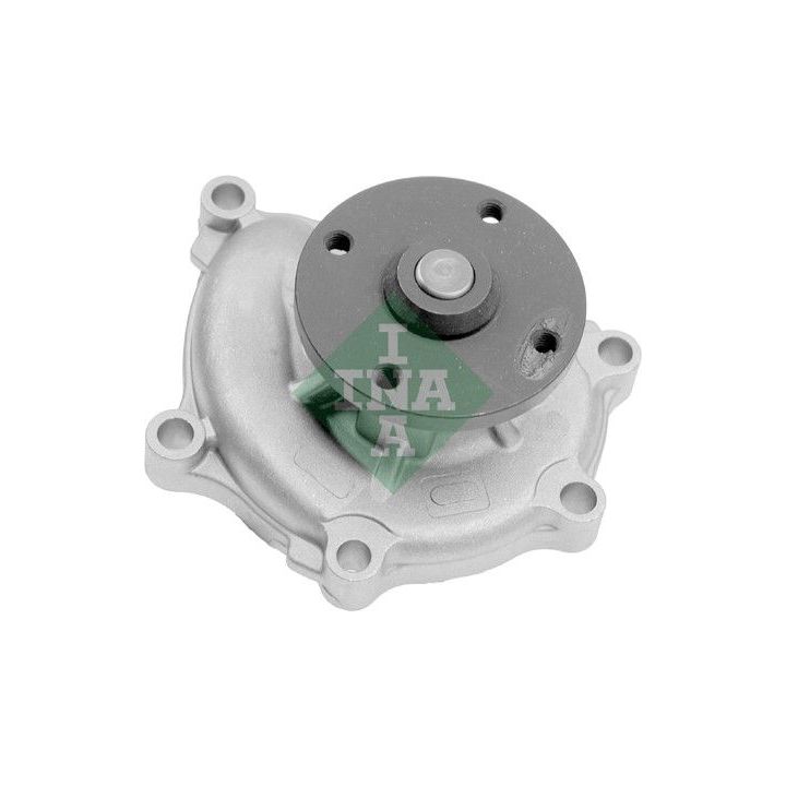 Vandens siurblys, variklio aušinimas INA 538 0693 10