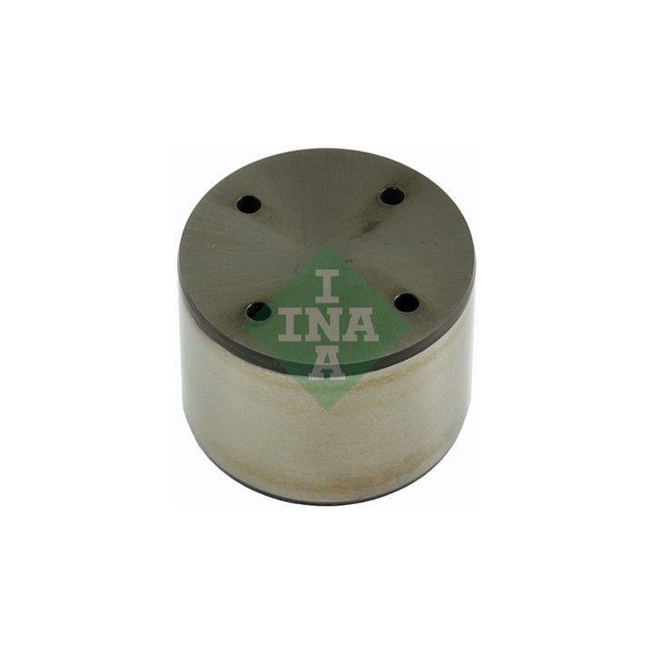 Aukšto slėgio siurblio stūmoklis INA 711 0308 10