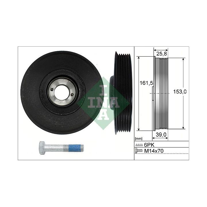 Alkūninio veleno skriemulių rinkinys INA 544 0039 20