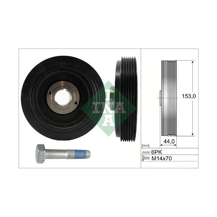 Alkūninio veleno skriemulių rinkinys INA 544 0042 20