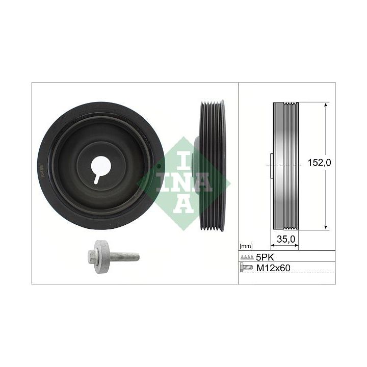 Alkūninio veleno skriemulių rinkinys INA 544 0054 20