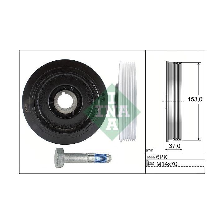 Alkūninio veleno skriemulių rinkinys INA 544 0058 20