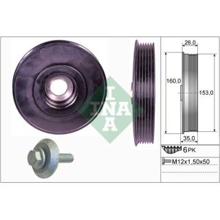 Alkūninio veleno skriemulių rinkinys INA 544 0079 20